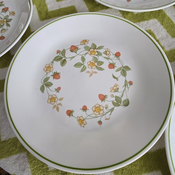 Vintage Corelle Spring Meadow 10" Dinner Plates Lot of 8 - Picture 3 of 6